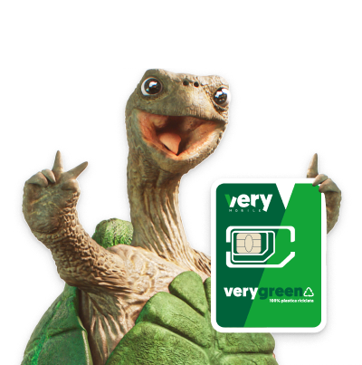 Tartaruga