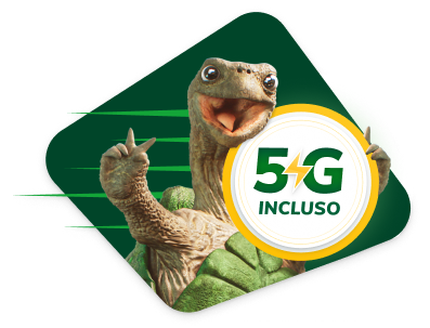 5G